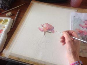 img_1931