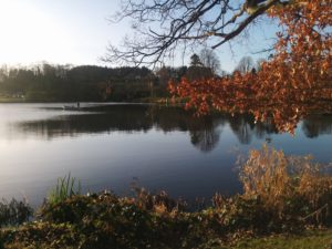 IMG_20170104_133630