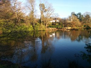 IMG_20170104_134432